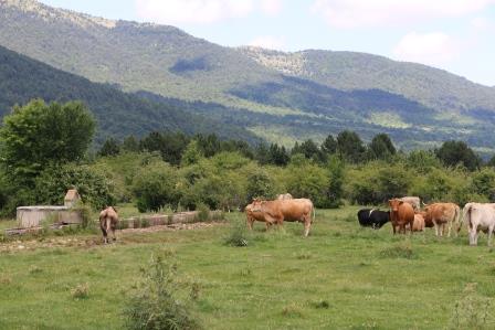 PARXAR.AGIOS.DHMHTRIOS.6.2019.IMG 7616