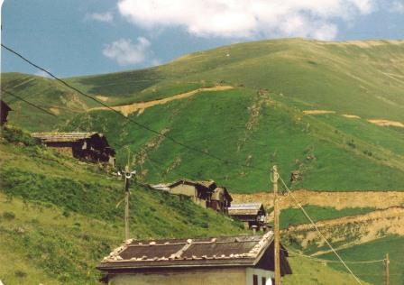 YPSIL.OFI.MOISIADIS 3