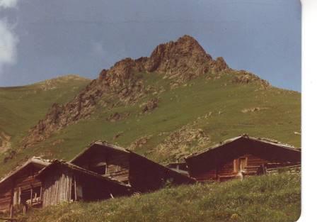 YPSIL.OFI.MOISIADIS 5