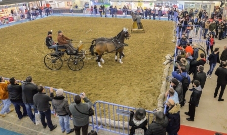 ZOOTECHNIA.4.2.20175