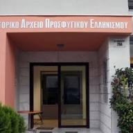 Το Ιστορικό Αρχείο Προσφυγικού Ελληνισμού παραμένει ζωντανό! Δικαστική νίκη για τον Δήμο Καλαμαριάς στο ΣτΕ