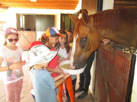 EFXINOS.LESXH.NAOUSAS.ALOGA.IOYLIOS2