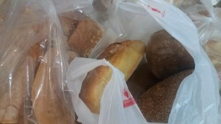 ENOSH.PONTION.MANDRAS.BOHTHEIA.16.11.20172