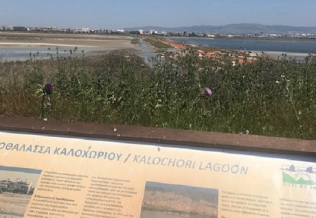 KALOXORI.KOKKINOS.DROMOS1