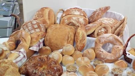 MIEZA.KOPANOS.NAOYSAMIKRASIA.20.2.20166