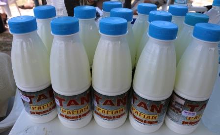 RAGIAN.TAN.IMG 6588