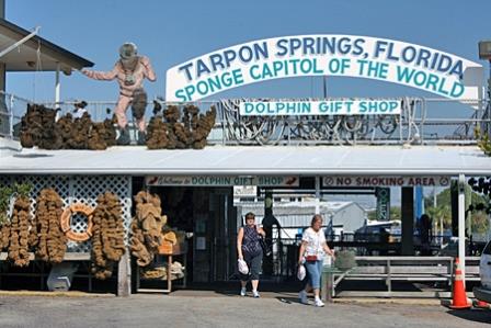 TARPON.SPRINGKS.HPA1