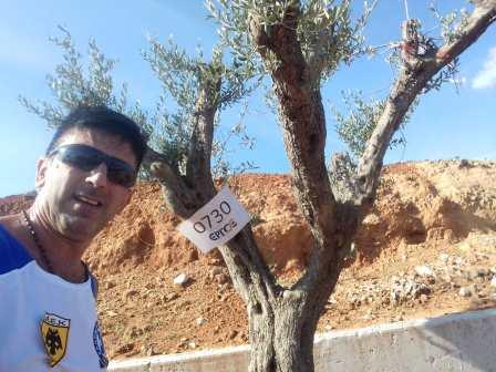 ZAXARIDIS.GIORGOS.MARATHONIOS.11.11 1